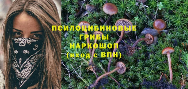 мескалин Алексин