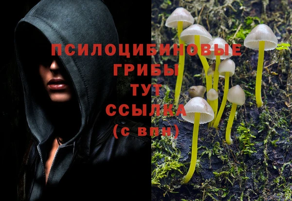 спайс Абдулино