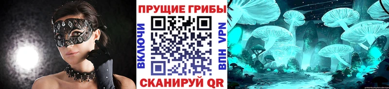 закладки  Сысерть  мега рабочий сайт  Галлюциногенные грибы Psilocybe 